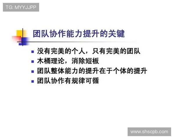 杭州羽毛球队团队协作表现的数据分析与提升策略探讨 杭州羽毛球队团队协作表现的数据分析与提升策略探讨