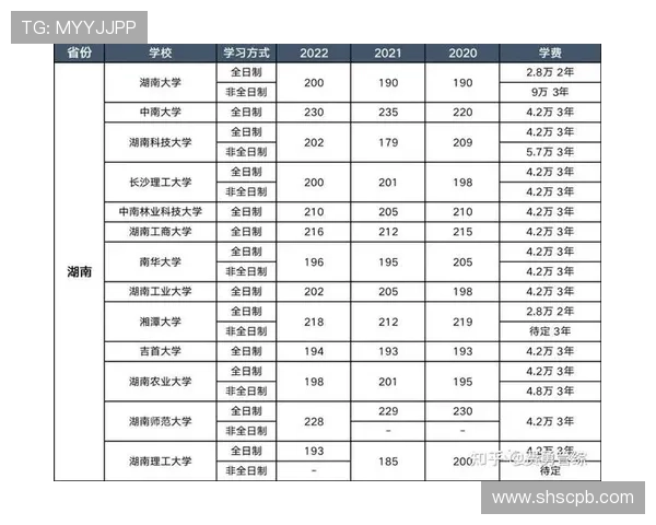 独家解读：杭州网球队员个人能力全面对比分析与评估