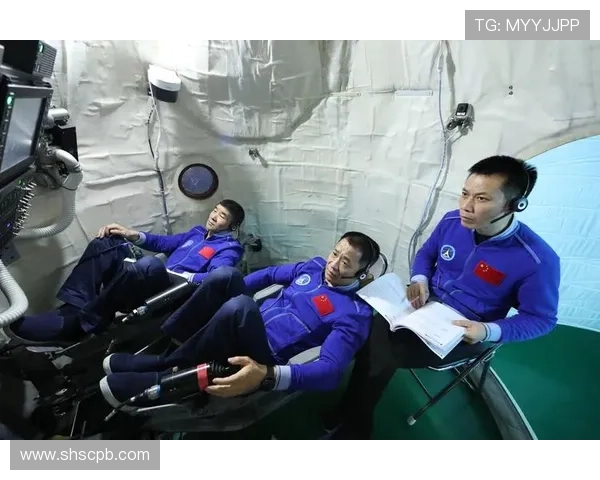 专访赵娜揭秘网球成功秘诀与职业生涯背后的故事