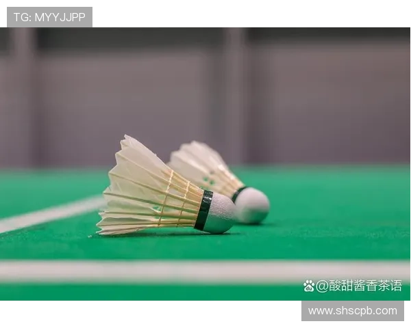 羽毛球速度排行榜揭晓杭州羽毛球队荣获第五名成就辉煌