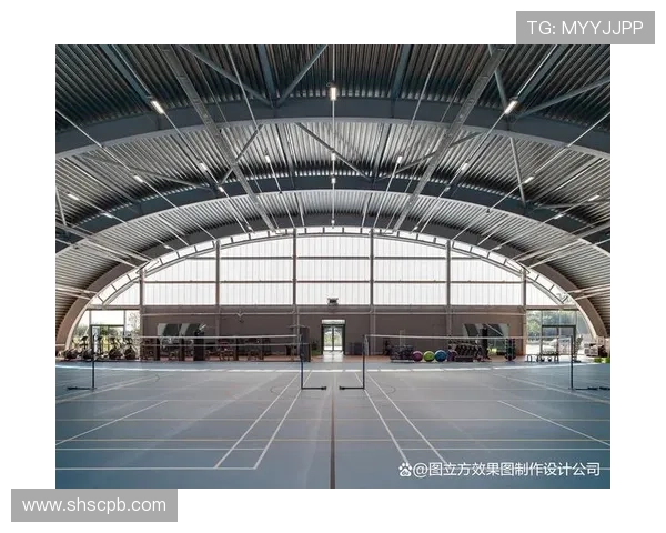 南京羽毛球队实力变革引发热议展现新风貌与未来潜力