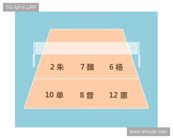 南京排球队反击体系的战术解析与实战应用探讨