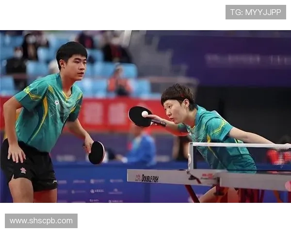 南京乒乓球队快攻战术解析与训练方法探讨