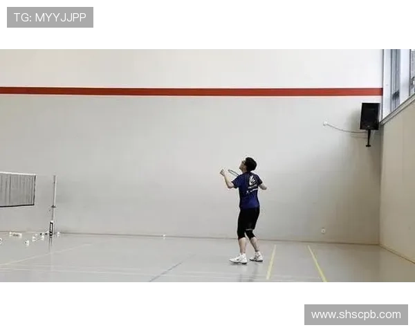 武汉羽毛球队防反打法深度分析与战术解析